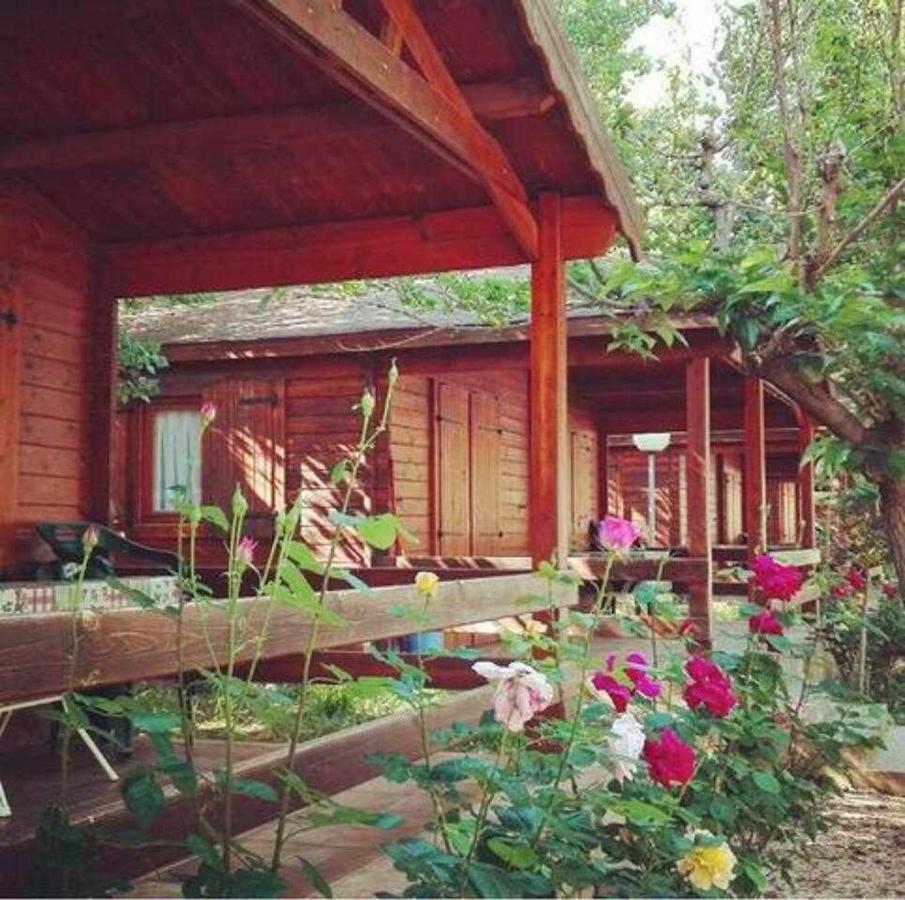 Bungalow & Camping Fuente De Regrustan Graus Zewnętrze zdjęcie